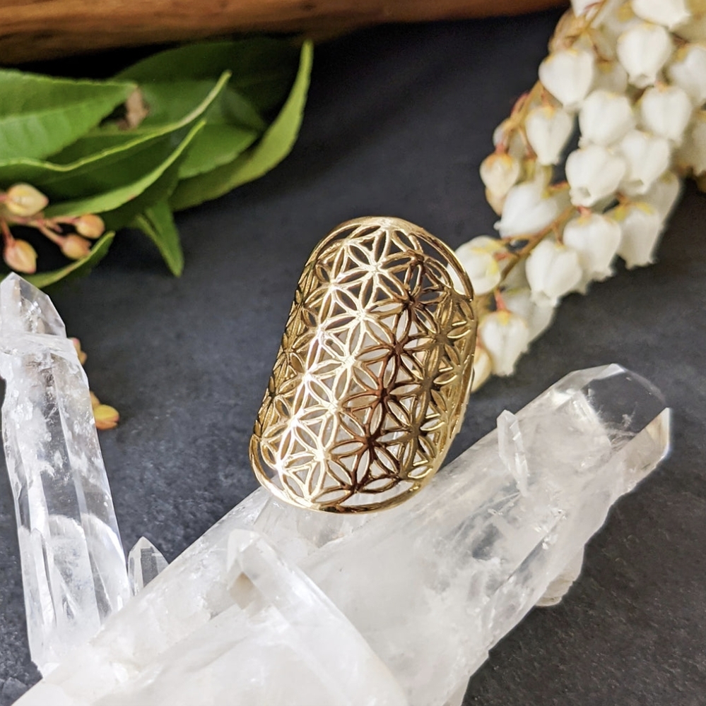🦋LAST 1🦋 NWT Baizaar Flower of Life Ring, Size 7.5